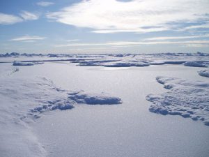 Océan Arctique, des cuvettes d'eau douce se forment à la surface de la glace de mer.