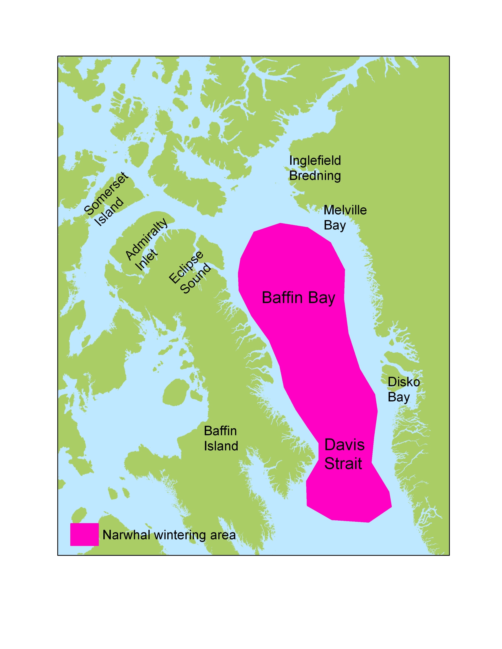 Zones d'hivernage des narvals en baie de Baffin