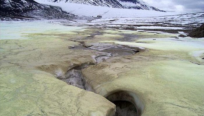 Borup Fiord Pass où l'on peut voir les dépôts minéraux laissés par les sources riches en soufre qui émergent du glacier