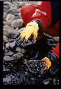 Février 1990, île Perry, baie du Prince William : pétrole retrouvé sous les galets d'une plage pourtant nettoyée