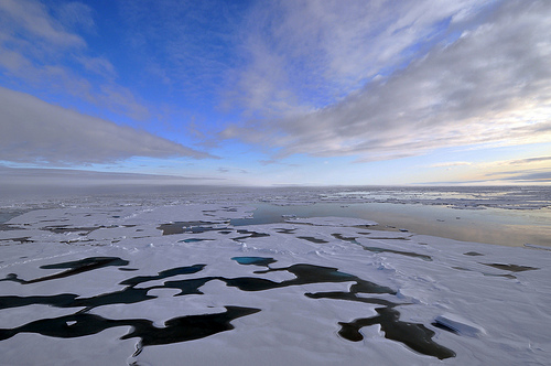 Atmosphère, glace de mer et océan en interaction
