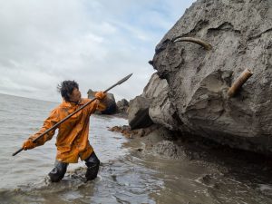 Défenses de mammouths prisonnières du pergélisol affleurant sur le bord de mer en Yakoutie