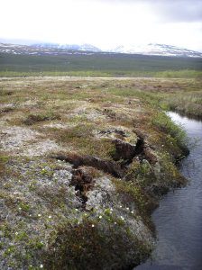 Affaissement de la bordure d'une tourbière dans le pergélisol de la région d'Abisko, extrême Nord de la Suède