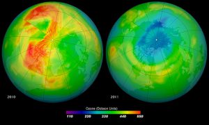Concentration d'ozone au-dessus de l'Arctique en mars 2010 et mars 2011