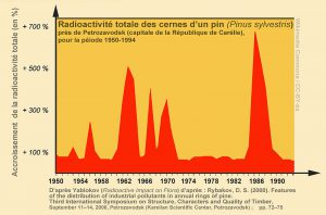Pics de radioactivité décelés dans les anneaux de croissance d'un pin sylvestre de Carélie, synchrones des retombées survenues entre 1950 et 1990