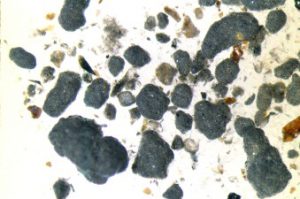 Granules de cryoconite de taille millimétrique en provenance du glacier Yala, Himalaya