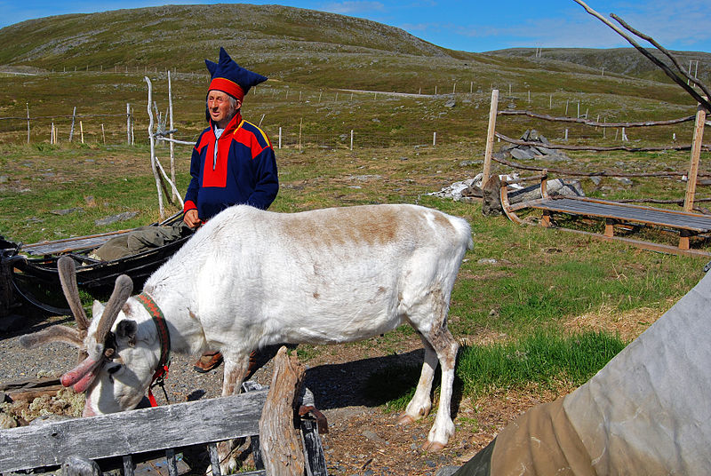Sami en costume traditionnel