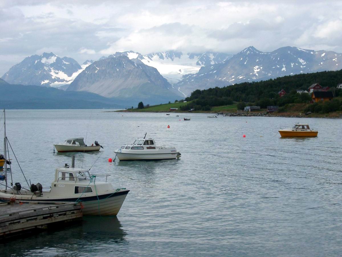 Bateaux de pêcheurs dans un fjord de Norvège, entre Alta et Narvik