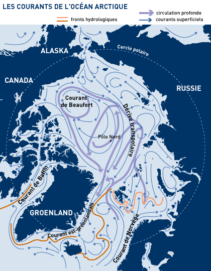 Principaux courants marins (profonds et de surface) au sein de l'océan Arctique