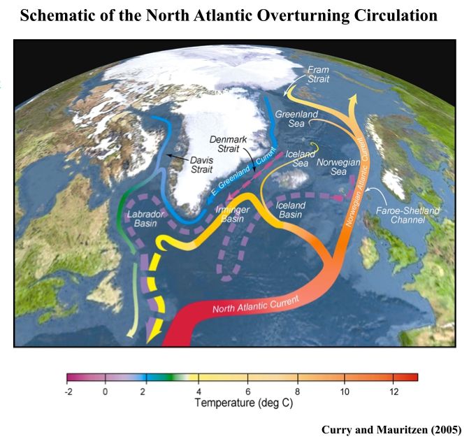 La circulation océanique au niveau des mers scandinaves et des bassins subpolaires