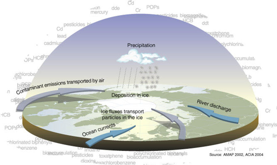 Les différents modes de transport de polluants en direction de l'Arctique
