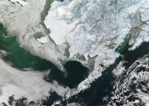 Image satellitaire de l'Alaska recouverte de neige
