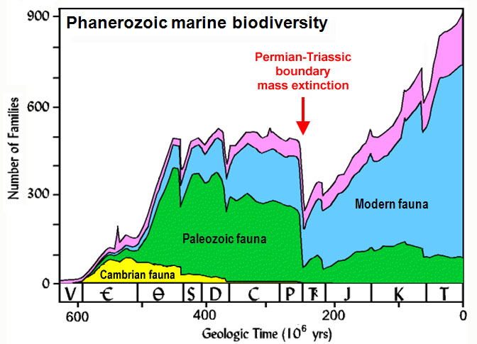 Effondrement de la biodiversité marine lors de l'extinction massive de la limite Permien-Trias (P-T), il y a 250 millions d'années