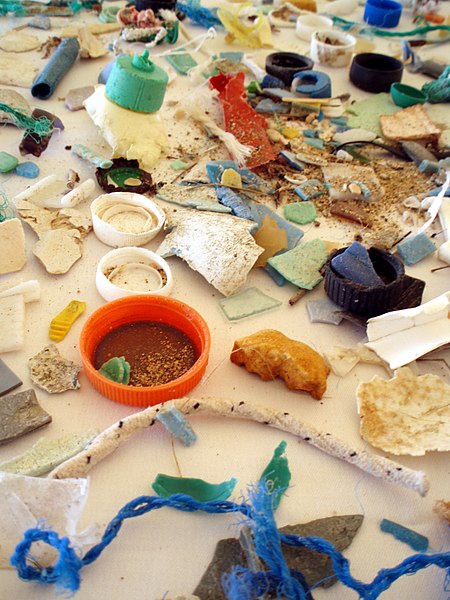 Déchets de plastique récoltés en mer à l'origine des microplastiques produits principalement par photodégradation