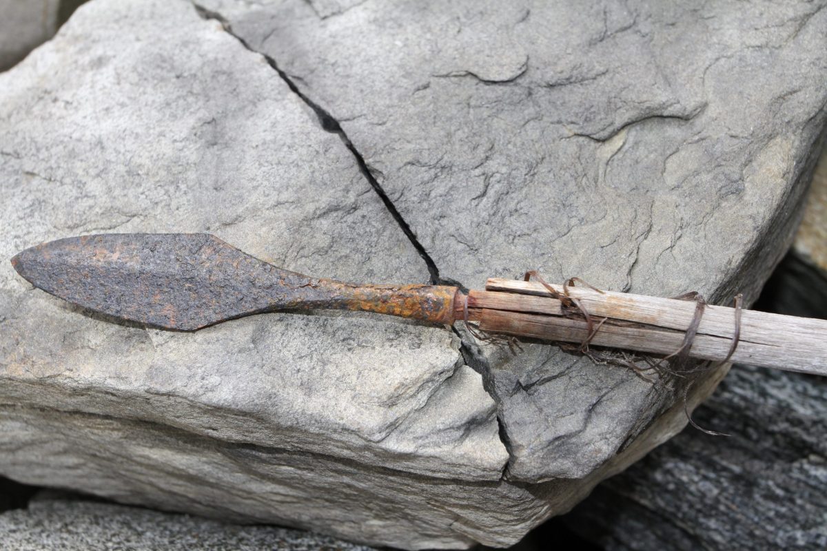 Pointe de flèche de de Langfonne datée de – 1 300 ans encore fixée à sa hampe, des restes de tendon ayant servi de ligature sont encore visibles